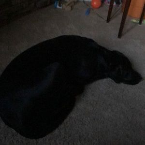 Meet your Posher, Jo